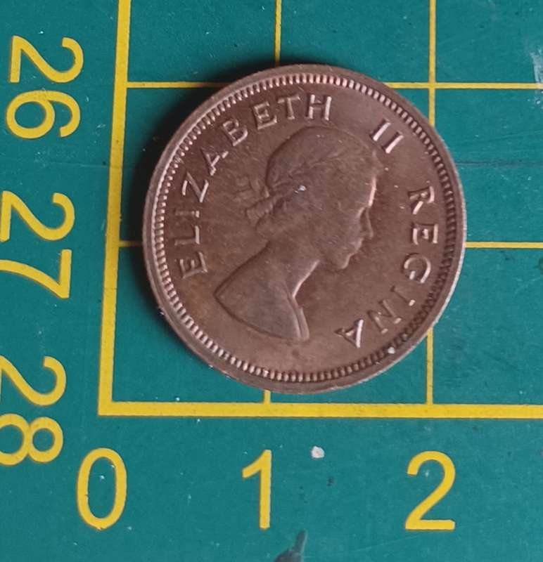 1955 ~ 1/4D ~ 1/4 Penny ~ Farthing ~ South Africa