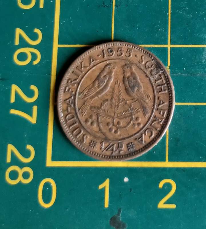1955 ~ 1/4D ~ 1/4 Penny ~ Farthing ~ South Africa