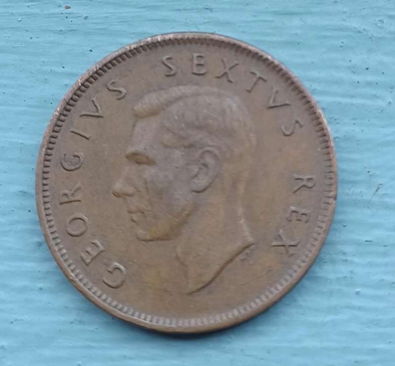 1951 ~ SA Union: Half penny 1/2d