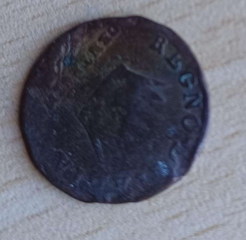 coins