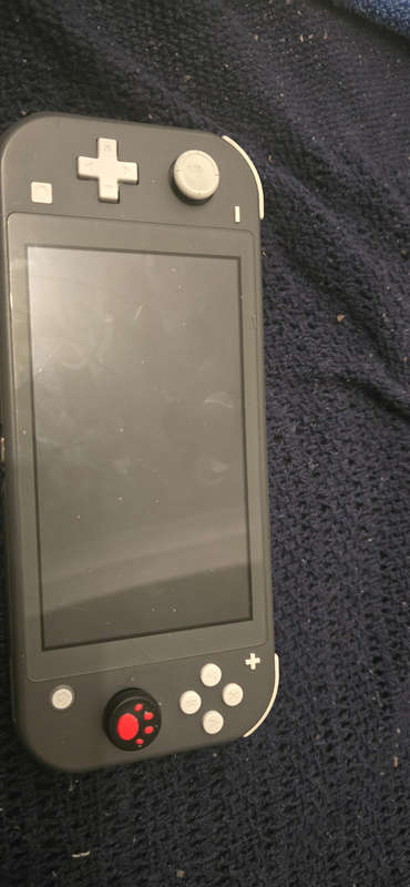 Modded switch lite