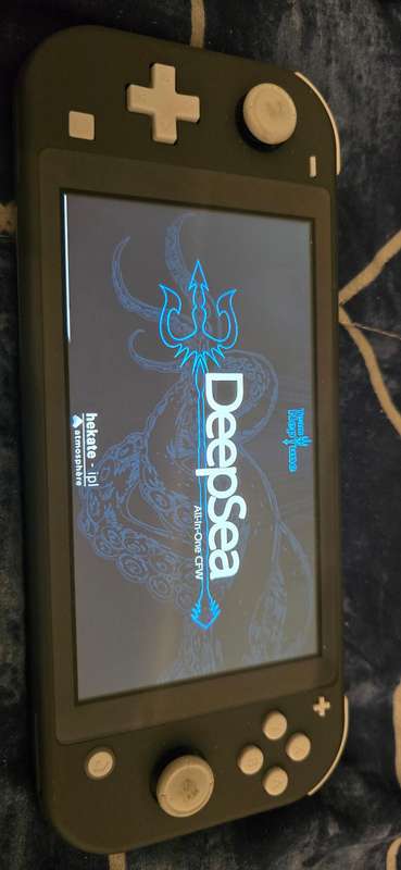 modded nintendo switch lite grey 128gb