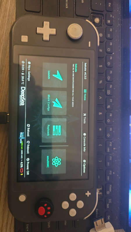 Modded switch lite