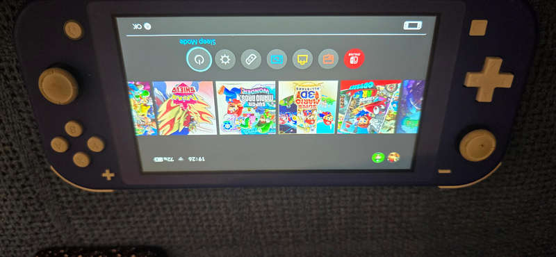 Nintendo switch lite picofly