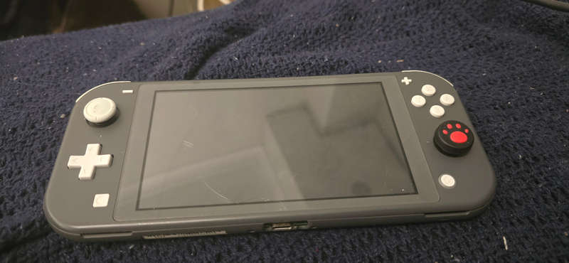 Modded switch lite