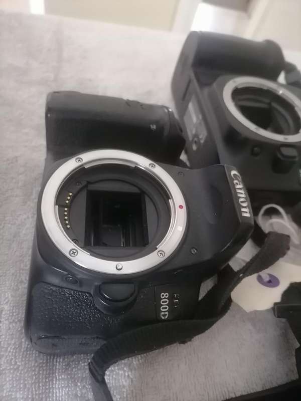 LOT OF 2 CAMERAS*ONE BID FOR LOT*CANON EOS800D+CANON EOS30D