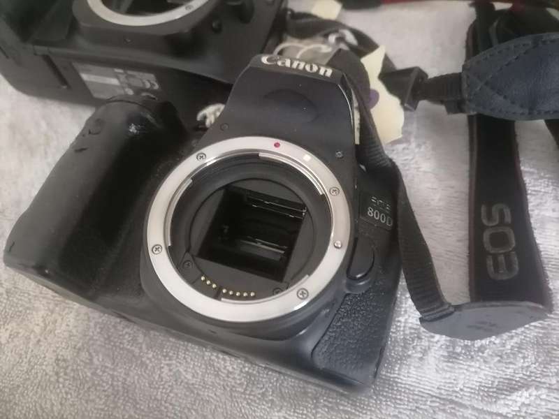 LOT OF 2 CAMERAS*ONE BID FOR LOT*CANON EOS800D+CANON EOS30D