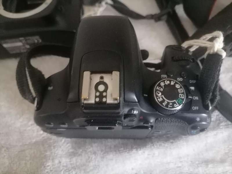 LOT OF 2 CAMERAS*ONE BID FOR LOT*CANON EOS800D+CANON EOS30D