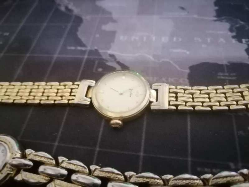 LOT OF GOLD WATCHES*ONE BID FOR THE LOT*