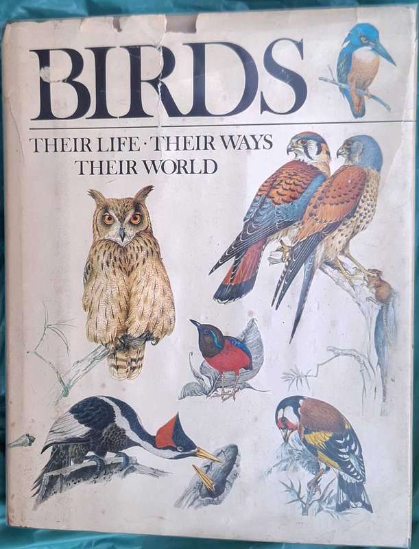 Reader's Digest Birds: Their Life, Their Ways, Their World Hardcover 1982 Fourth Printing