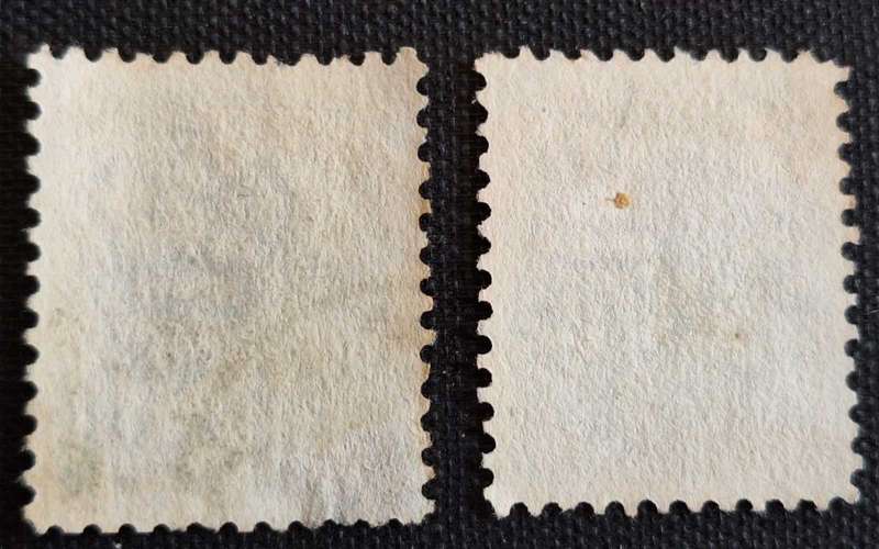 Australia: New South Wales  1890's Queen Victoria 2 Used stamps