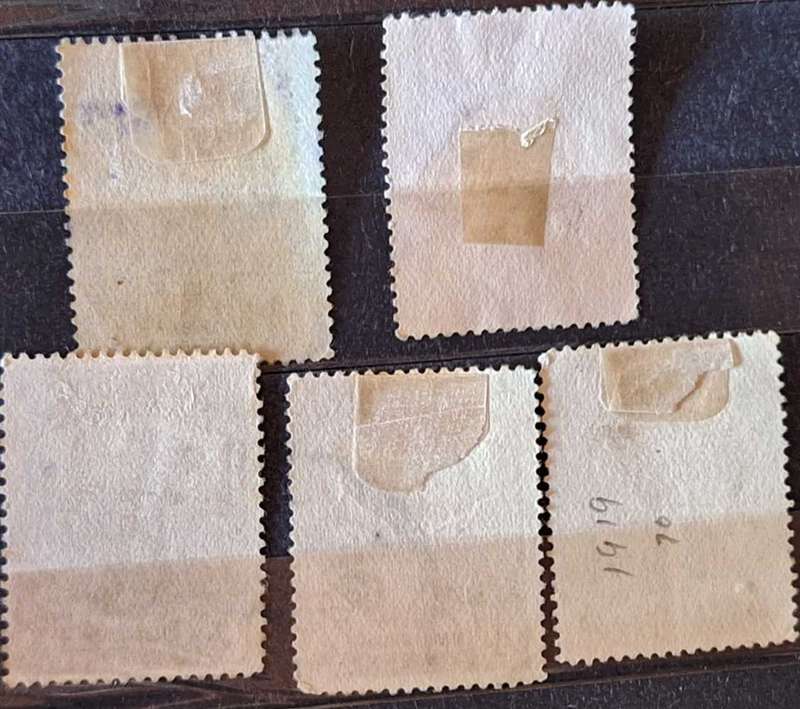 Newfoundland 1919 Trail of the Caribou 5 Used Hinged stamps