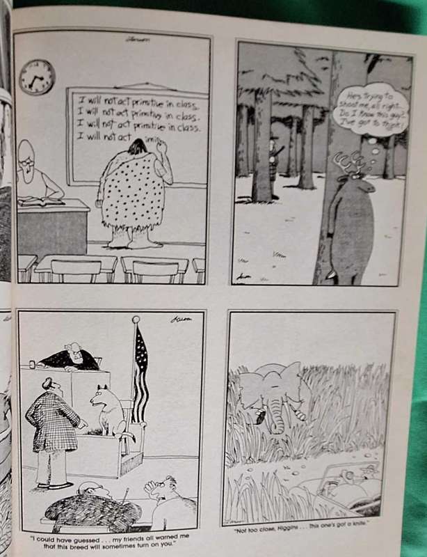 The Far Side Gallery by Larson Paperback