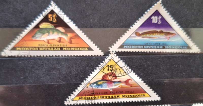 Mongolia 1962 Fish 3 Used triangle stamps