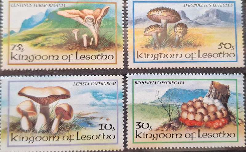 Lesotho 1983 Fungi Set of 4 Mint stamps