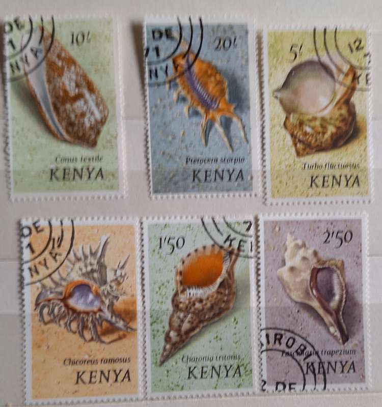 Kenya 1971 Sea Shells 6 Used Hinged stamps (High Values from Set)
