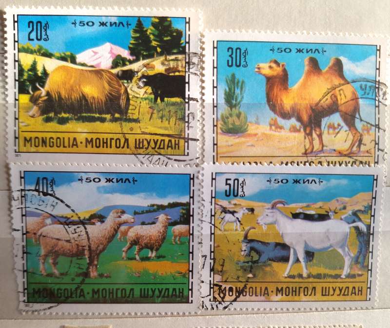 Mongolia 1971 Animal Breeding 4 Used stamps from Set of 7