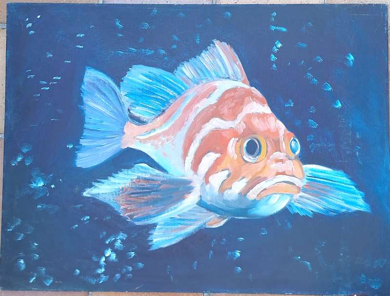 Unframed Painting of Fish on Canvas Panel