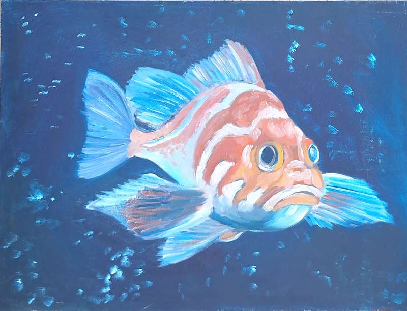 Unframed Painting of Fish on Canvas Panel