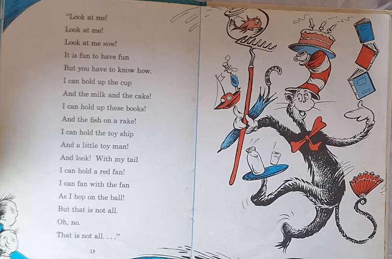 The Cat In the Hat by Dr Seuss Hardcover