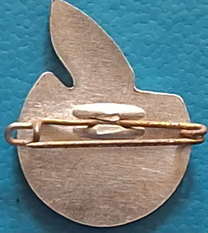 RSA 10th Anniversary Sport Festival Lapel Badge