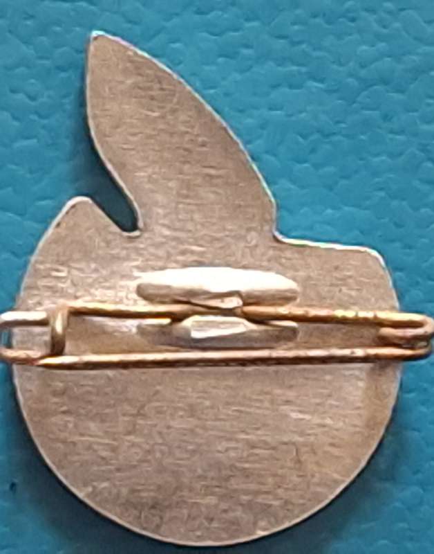RSA 10th Anniversary Sport Festival Lapel Badge