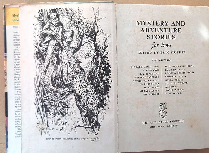 Mystery and Adventure Stories for Boys Ed: Eric Duthie Hardcover