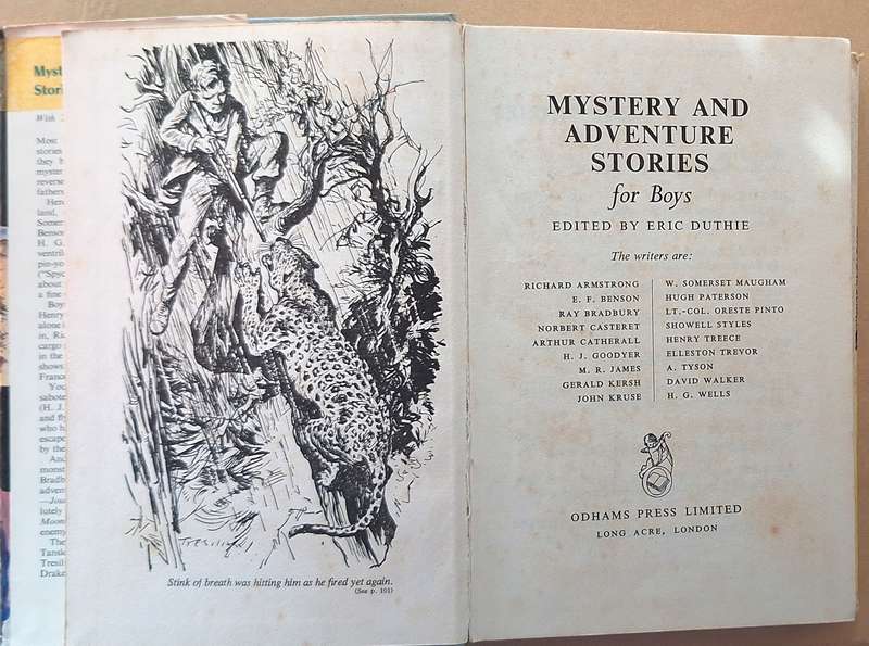 Mystery and Adventure Stories for Boys Ed: Eric Duthie Hardcover