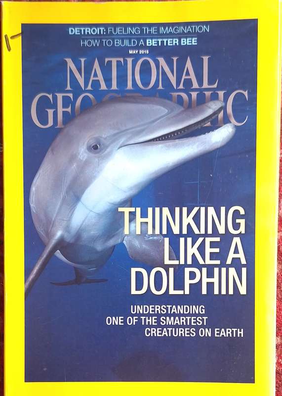 National Geographic May 2015 Thinking Like a Dolphin