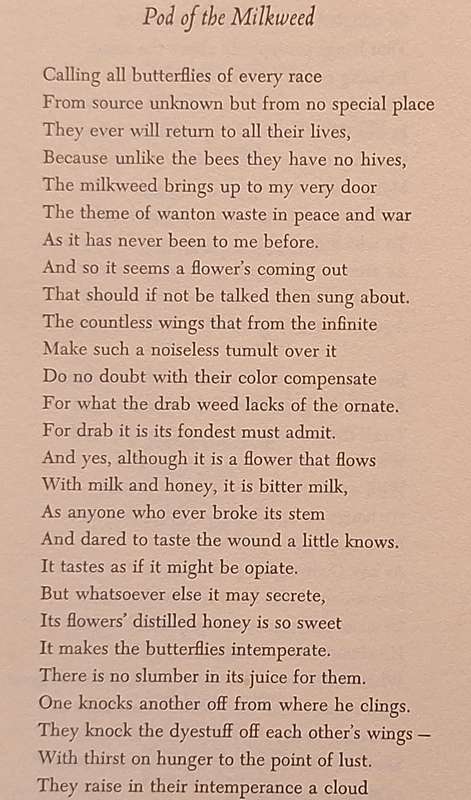 In the Clearing by Robert Frost Paperback