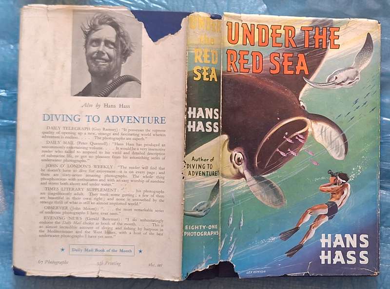 Under the Red Sea by Hans Hass Hardcover 1953 Reprint
