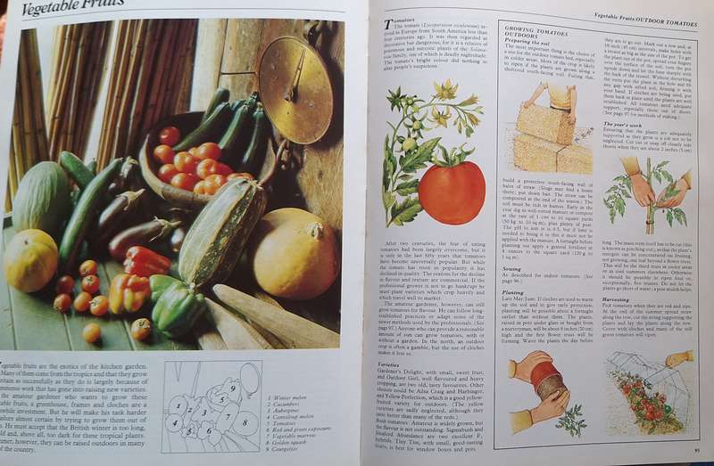 Your Kitchen Garden by George Seddon Paperback