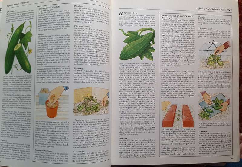 Your Kitchen Garden by George Seddon Paperback