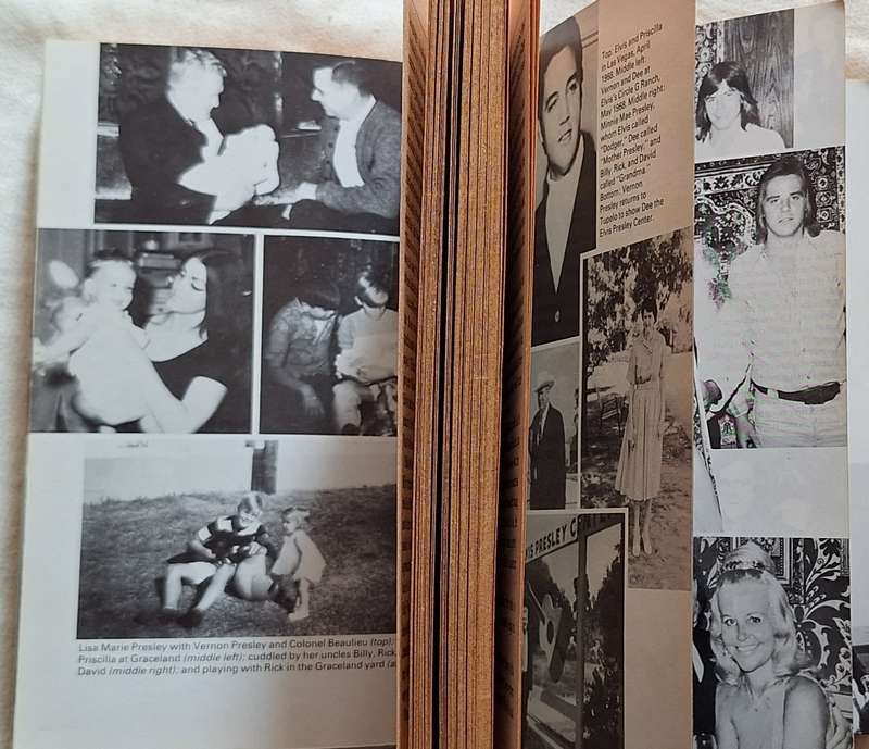 Elvis, We Love You Tender by Dee Presley, Billy, Rick & David Stanley by Martin Torgoff Paperback