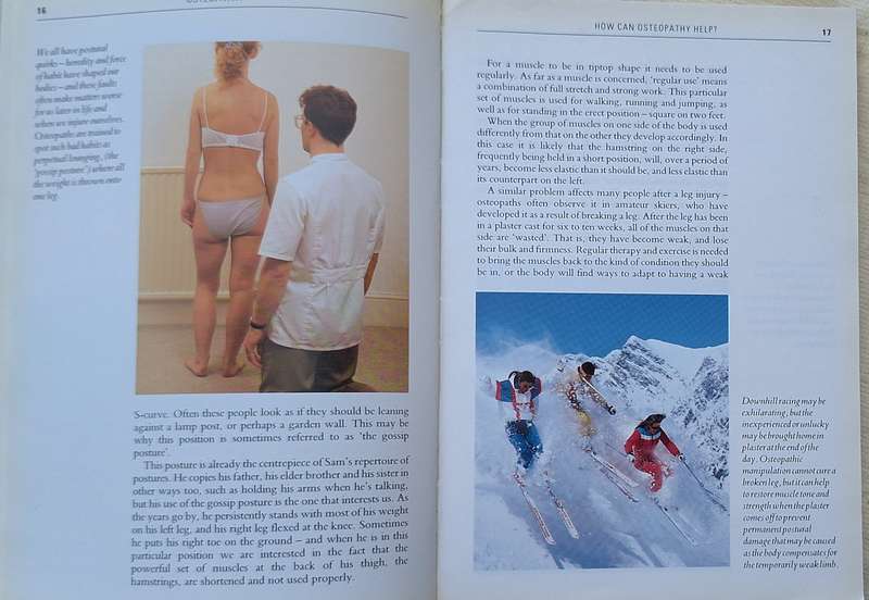A Guide to Osteopathy by Stephen Sandler Paperback