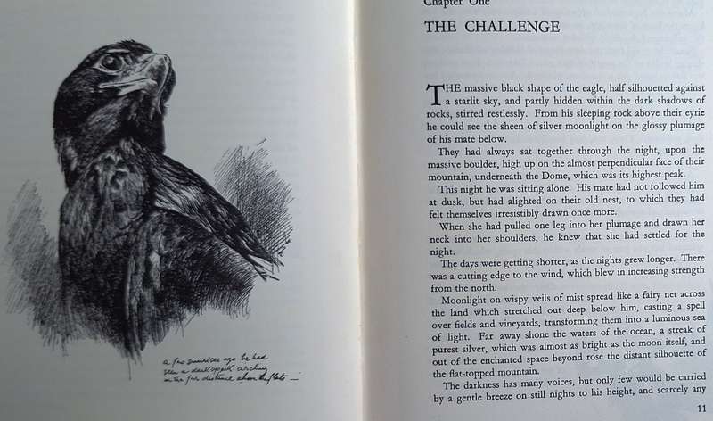 Wings of the Wild by H von Michaelis Hardcover 1953