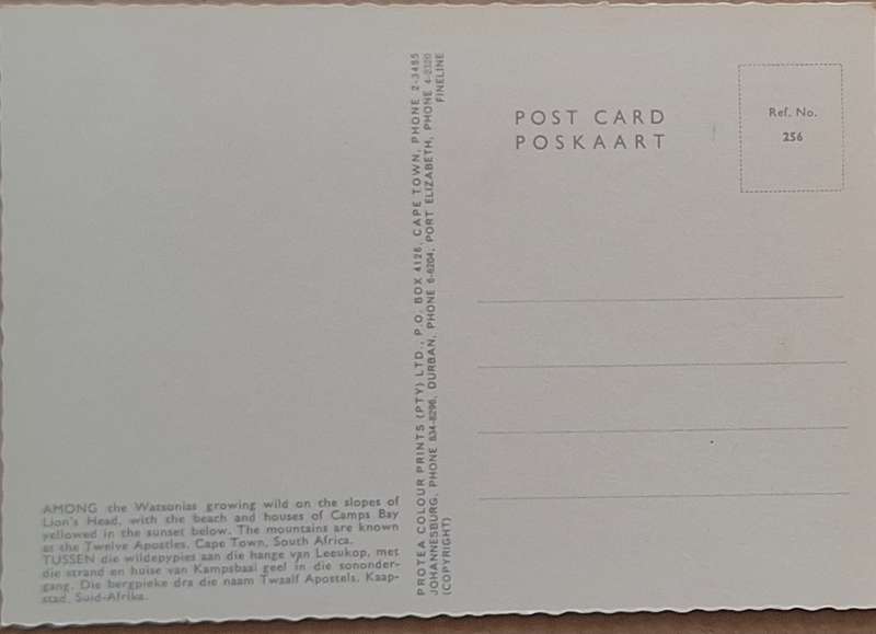 Unused 1970's Post Card The President Hotel, Johannesburg