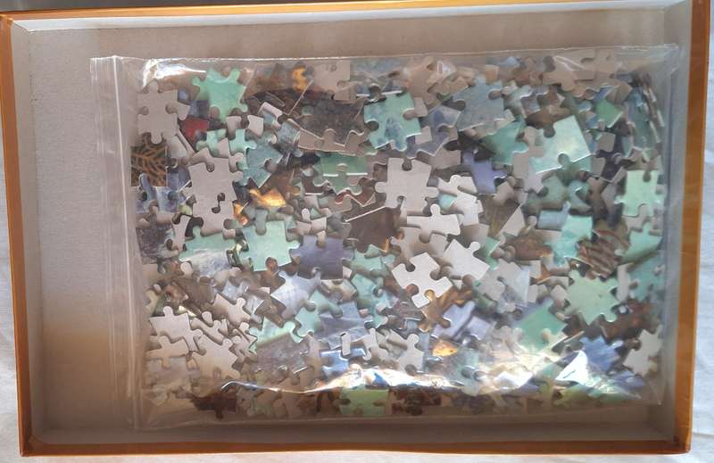RGS 500 Piece Puzzle Underwater Enchantment  Ref: RGS9221