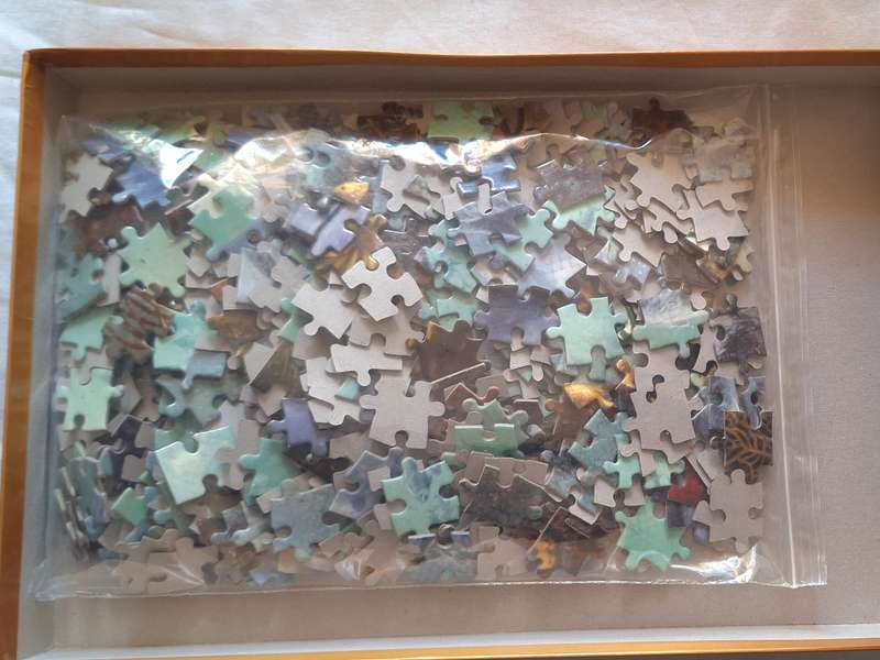 RGS 500 Piece Puzzle Underwater Enchantment  Ref: RGS9221