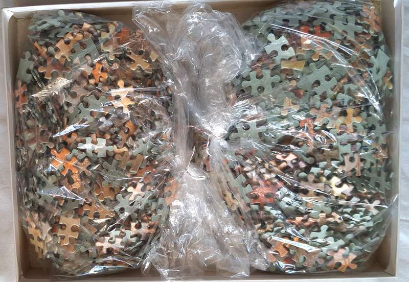 RGS 1500 Piece Puzzle Lumbering Giant Code: 9447
