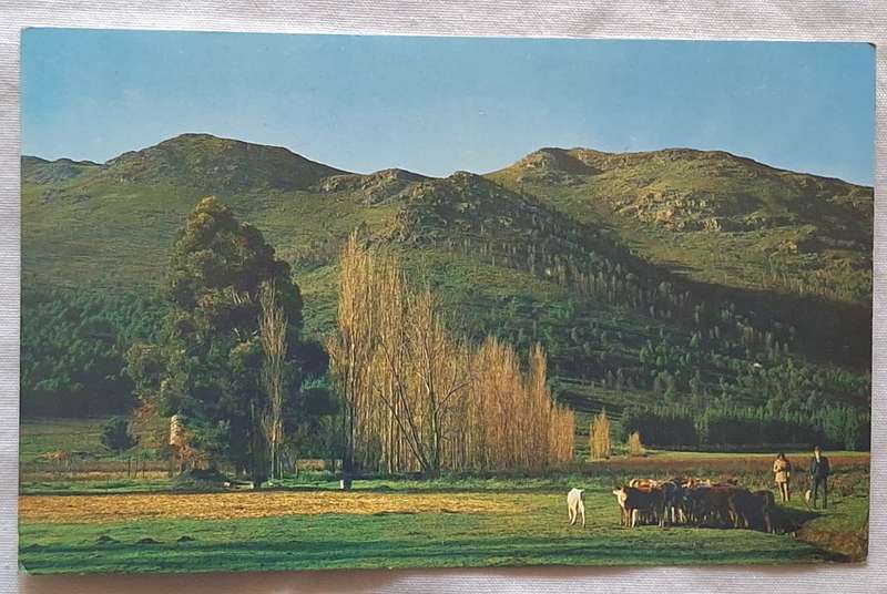 Cape of Good Hope Savings Bank Post Card of Franschhoek Country Scene Photo by Martin Laubscher