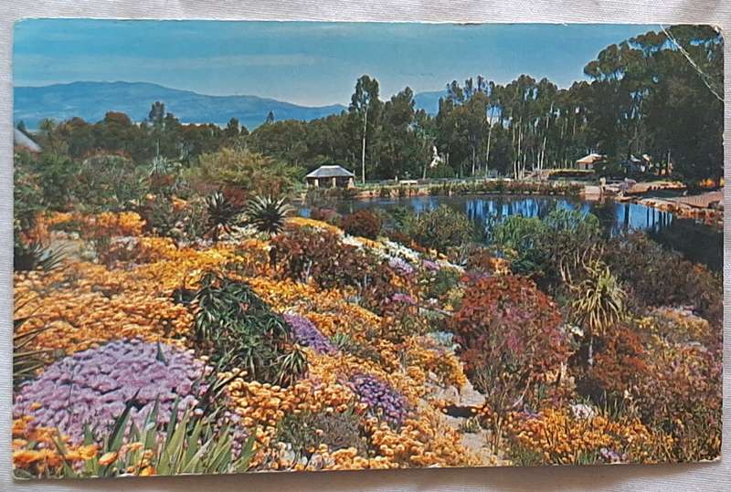 Cape of Good Hope Savings Bank Post Card of Caledon Garden Photo by Martin Laubscher