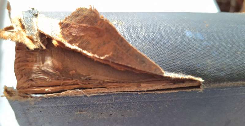 Natural History of Selborne by Rev G White Hardcover 1890