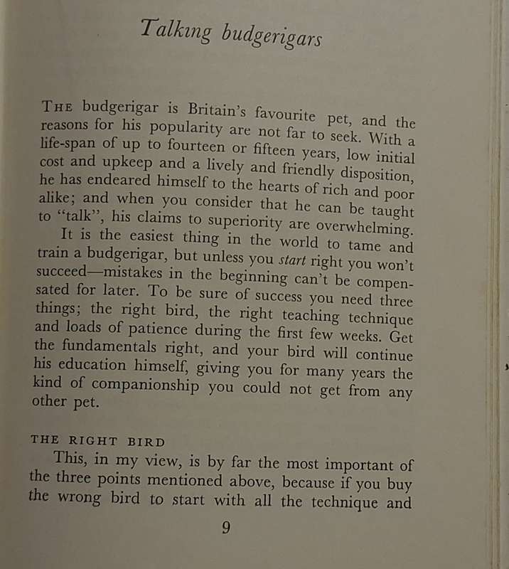 Talking Budgerigars by Philip Marsden Hardcover 1958
