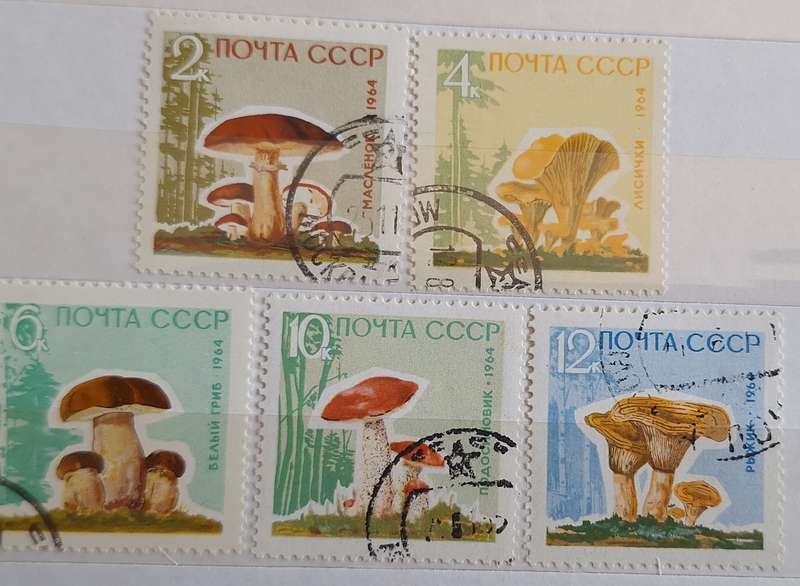 Russia Soviet Union 1964 Mushrooms Set of 5 Cancelled Hinged stamps