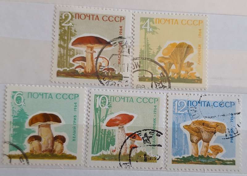 Russia Soviet Union 1964 Mushrooms Set of 5 Cancelled Hinged stamps