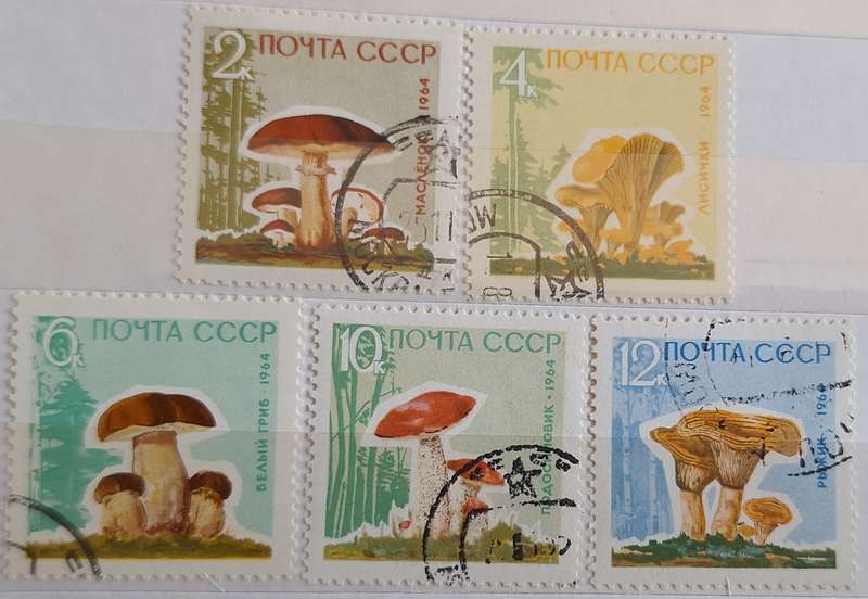 Russia Soviet Union 1964 Mushrooms Set of 5 Cancelled Hinged stamps