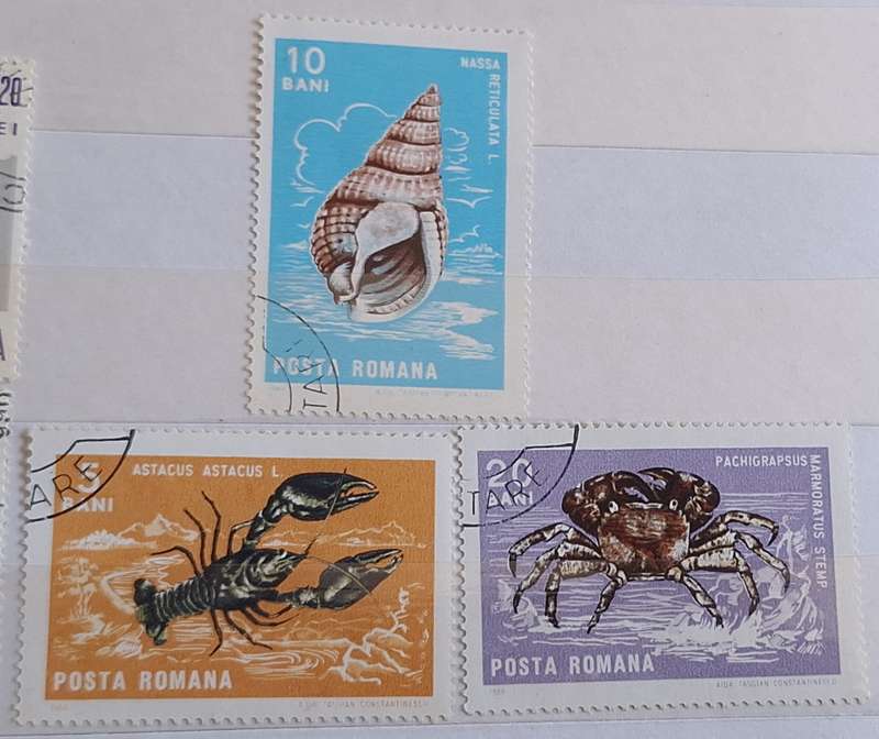 Romania 1966 Shells and Crustaceans 3 Cancelled Hinged stamps from Set of 8