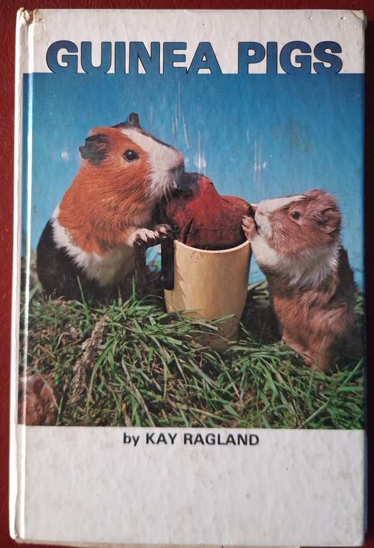 Guinea Pigs by Kay Ragland Hardcover