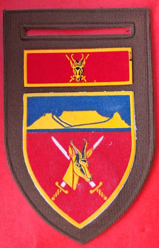 SADF Western Province Command tupperware flash with Chief of the Army Command Badge